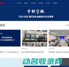 中联金服